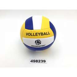 Pelota Volley Ball