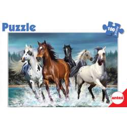 Puzzle 100 Piezas