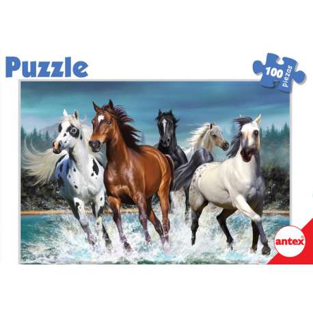 Puzzle 100 Piezas