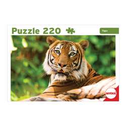 Puzzle 220 Piezas