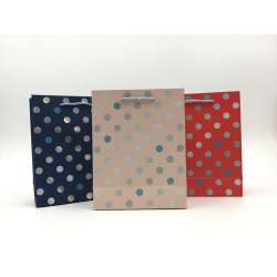 Bolsa Lunares 18x23x8