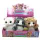 Peluche Gato 20 cm en Caja Exhibidora x 6